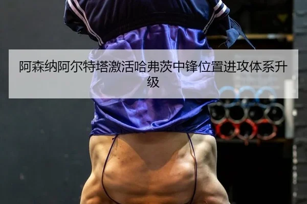 a-sen-na-a-er-te-ta-ji-huo-ha-fu-ci-zhong-feng-wei-zhi-jin-gong-ti-xi-sheng-ji-2-360.jpg